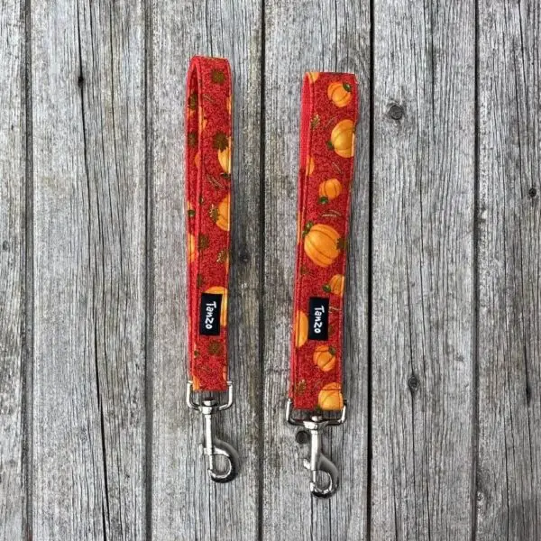 Laisse, citrouilles – Image 3
