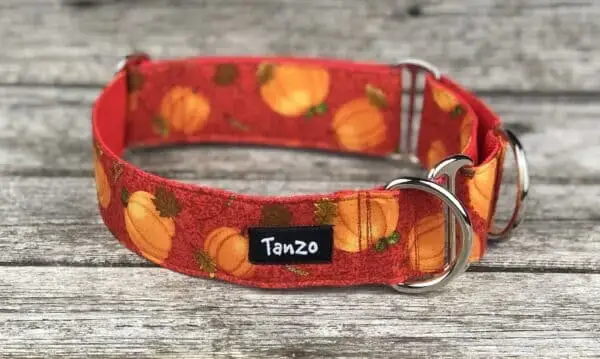 Collier, citrouilles – Image 4