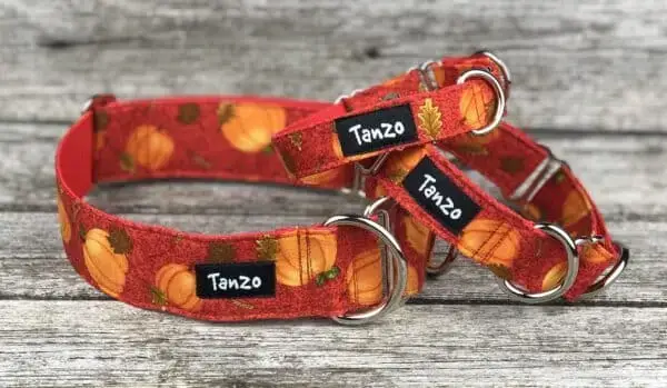 Collier, citrouilles – Image 5