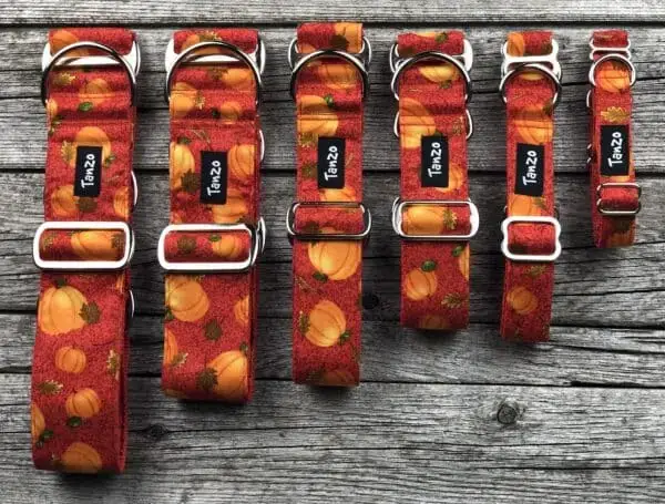 Collier, citrouilles – Image 6