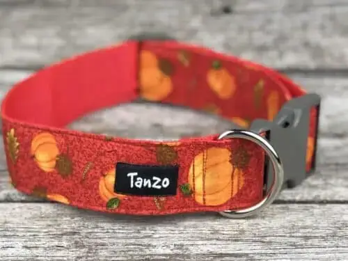 Collier, citrouilles