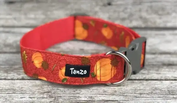 Collier, citrouilles