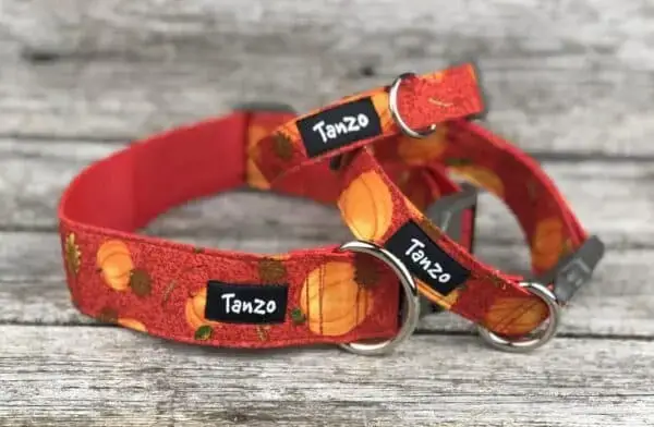 Collier, citrouilles – Image 2
