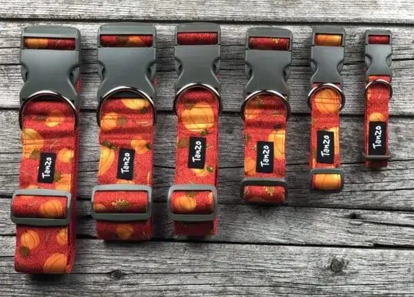 Collier, citrouilles – Image 3