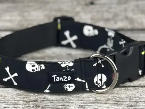Collier, squelettes