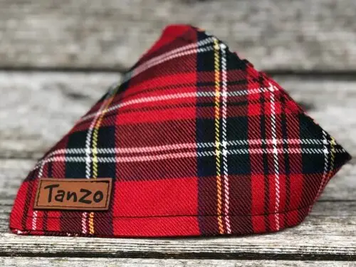 Foulard pour chat, tartan rouge