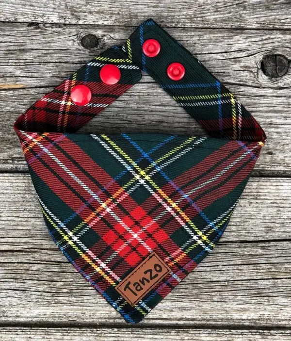Foulard pour chat, carreaux vert forêt et rouge – Image 2
