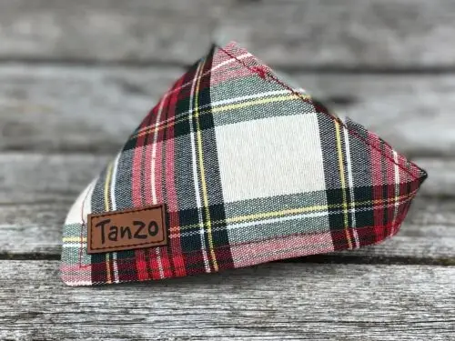 Foulard pour chat, carreauté beige et vert