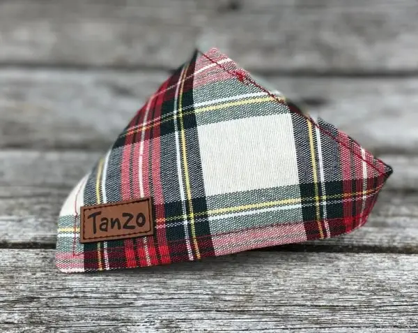 Foulard pour chat, carreauté beige et vert