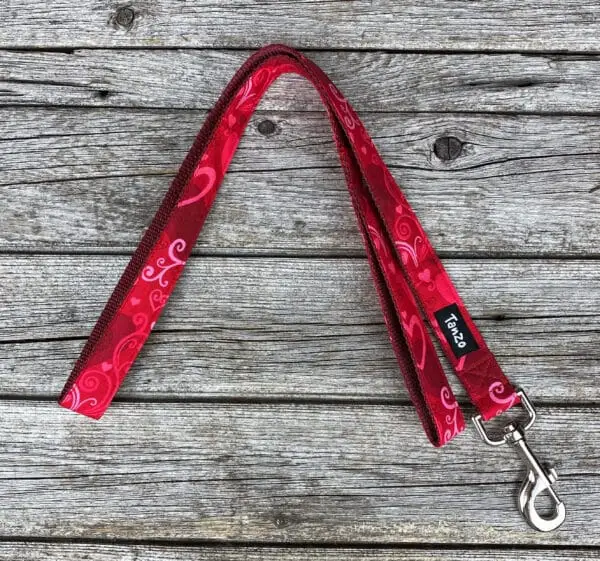 Laisse, coeurs rouges – Image 2