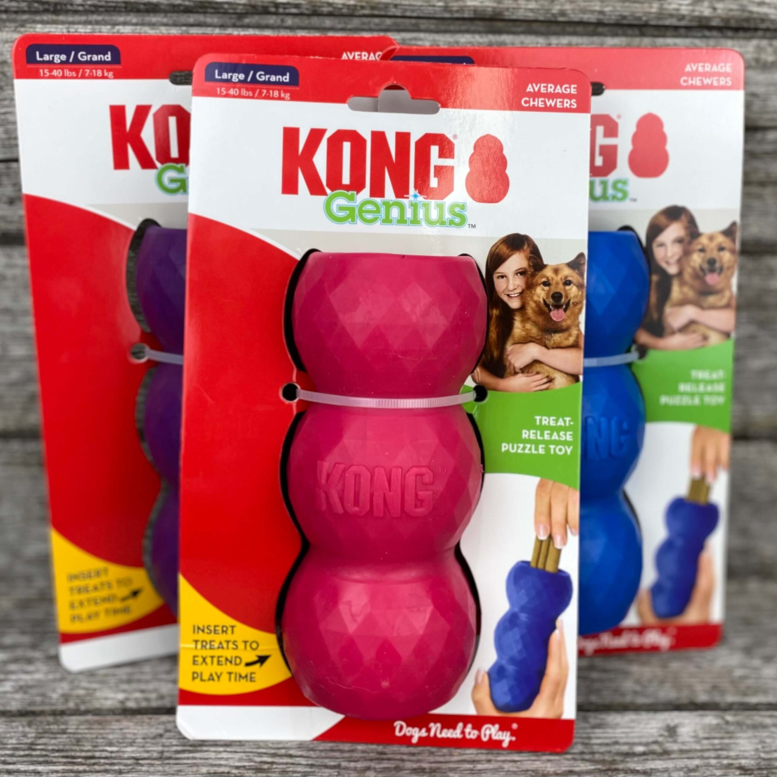 Kong - Genius Mike - Dog Toy - Small