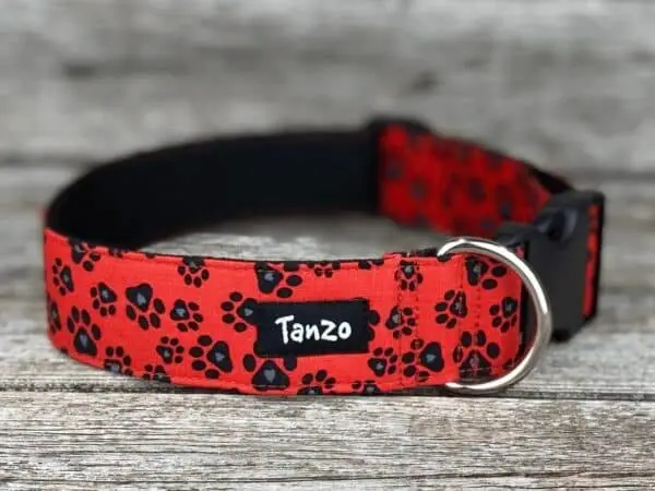 Collier, chien d'amour
