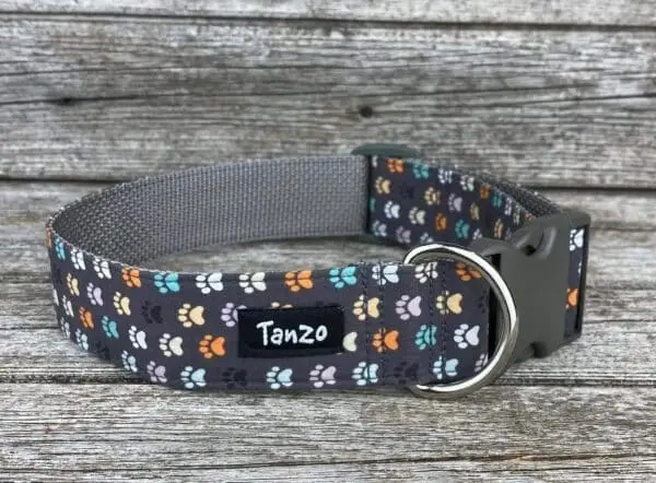 Collier, pattes de chien colorées sur fond gris