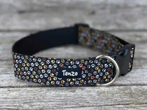 Collier, petites pattes de chien