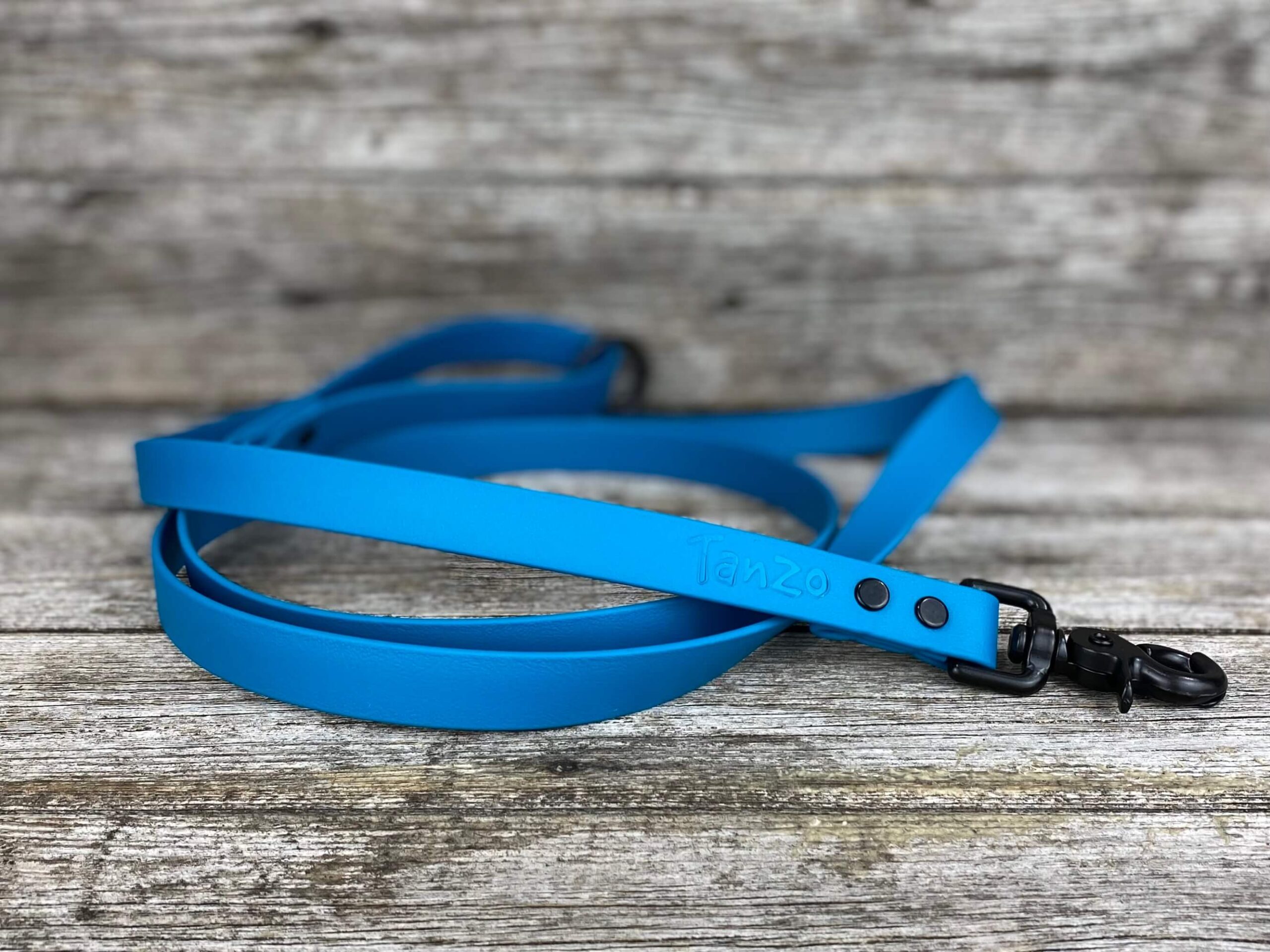 Leash in BioThane®️, turquoise - Créations Tanzo