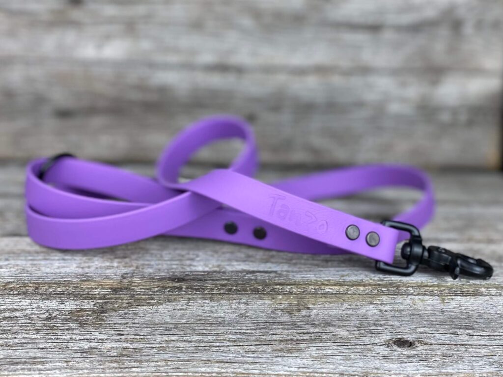 Dog collar in BioThane®️, amethyst - Créations Tanzo