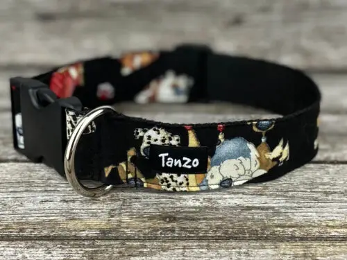 Collier, bon chien!