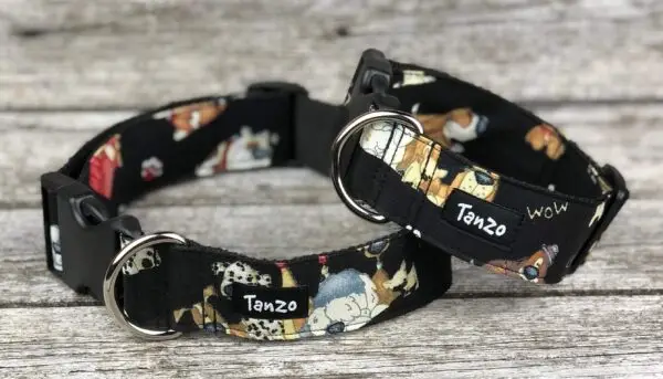 Collier, bon chien! – Image 2