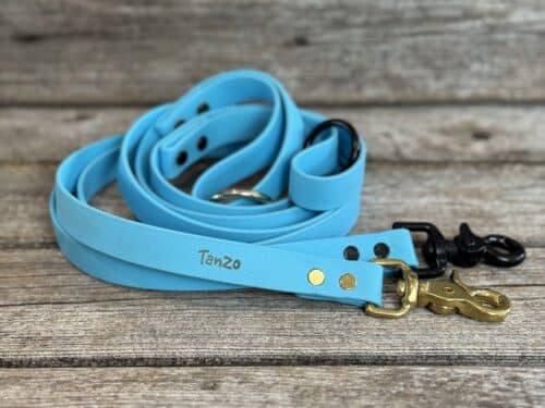 Laisse bleu pâle pour chien, collection de printemps.