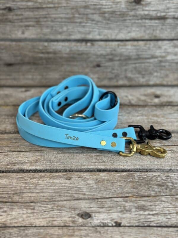 Laisse bleu pâle pour chien, collection de printemps.