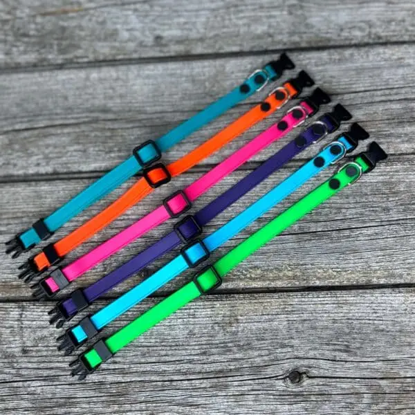 Collier pour chat en BioThane®️ – Image 2