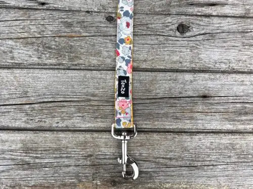 Laisse, fleurs colorées