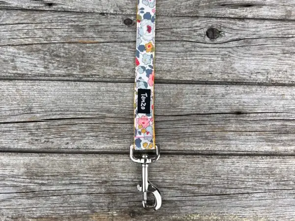 Laisse, fleurs colorées