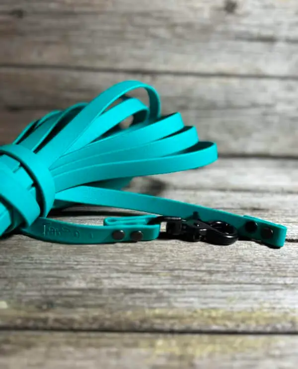 Longe de rappel pour chien en Biothane – 38,5 pieds