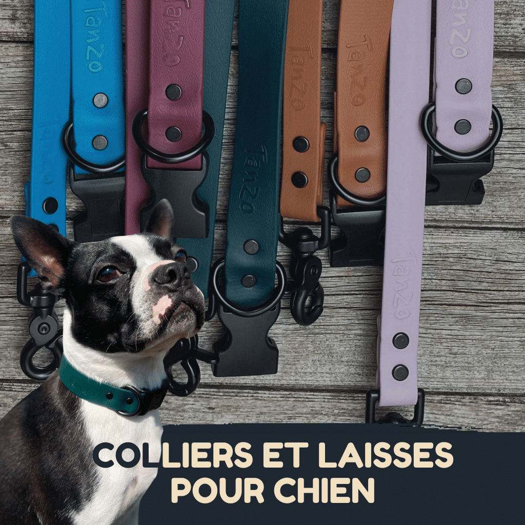 Colliers et laisses en Biothane pour chien, confortables et élégants, fabriqués au Québec