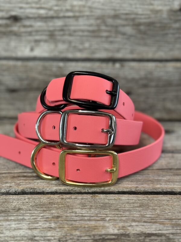 Collier boucle ceinture biothane pour chien - corail