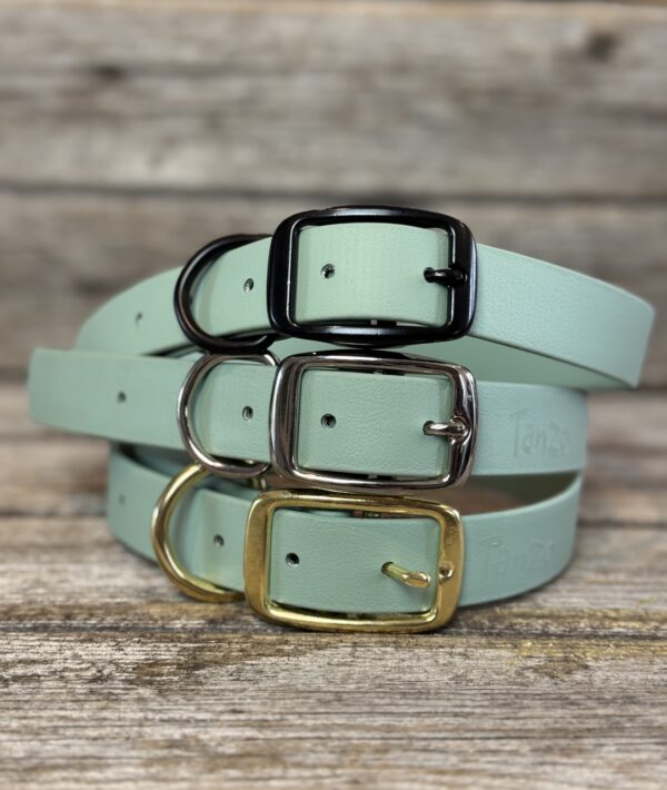 Collier pour chien en biothane ultra résistant - Sauge