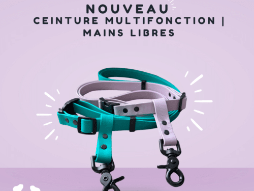 Ceinture multifonction en Biothane avec attaches scissor snap, idéale pour le ski joëring et les promenades mains libres.