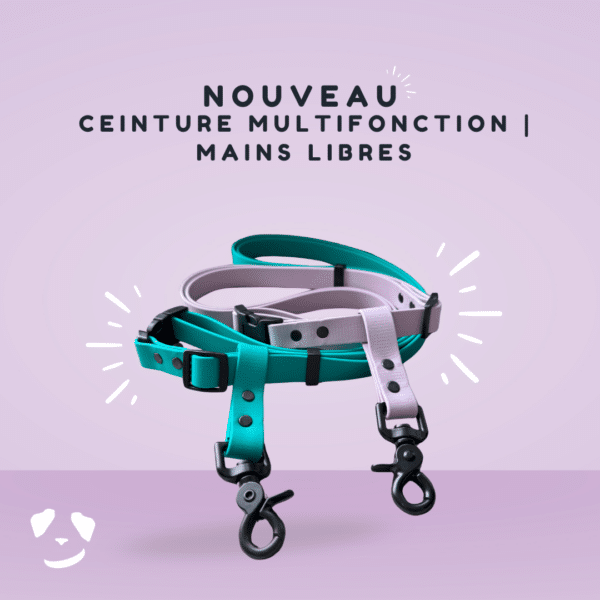 Ceinture multifonction en Biothane avec attaches scissor snap, idéale pour le ski joëring et les promenades mains libres.