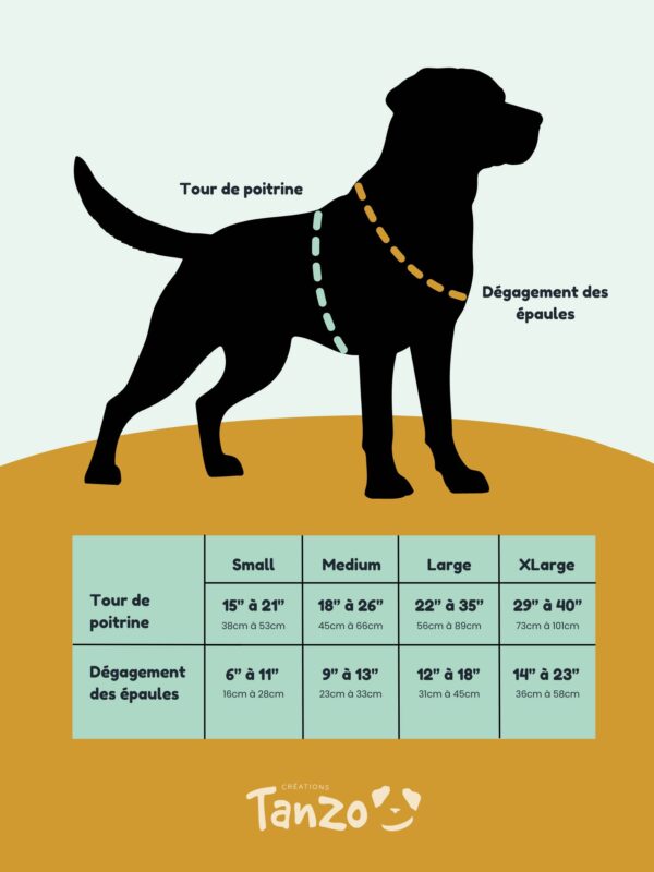 Tableau montrant les différentes tailles de harnais ajustables en biothane avec des mesures précises pour aider à choisir la taille adaptée à la morphologie de chaque chien.