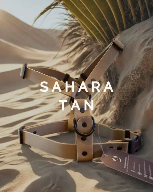 Harnais pour chien en Biothane couleur sable Sahara, posé dans un décor désertique.