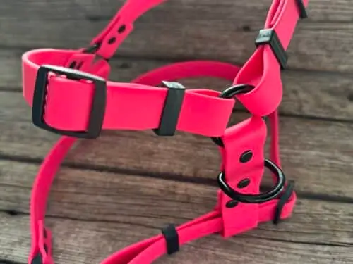 Harnais pour chien en biothane ajustable, durable et imperméable, idéal pour les activités extérieures.