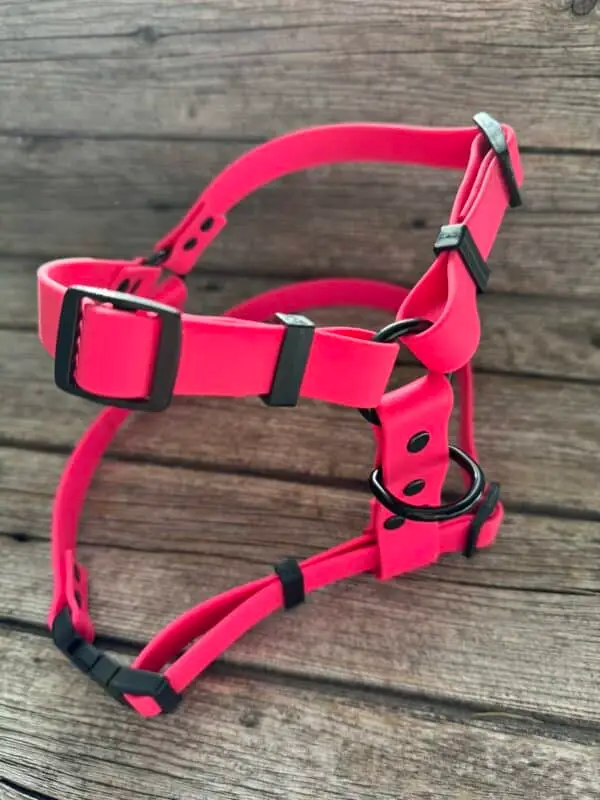Harnais pour chien en biothane ajustable, durable et imperméable, idéal pour les activités extérieures.