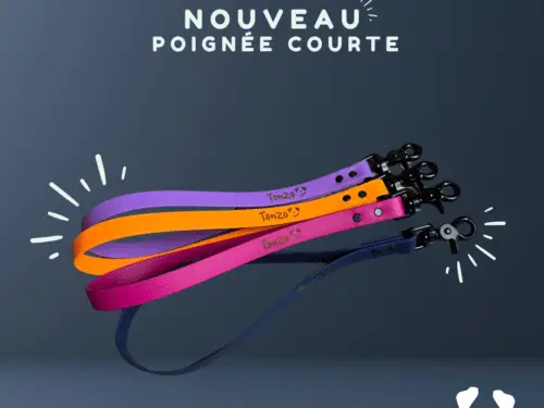 Poignée courte Tanzo – Contrôle, sécurité et style . Idéal pour l'entraînement et les sorties en toute confiance.