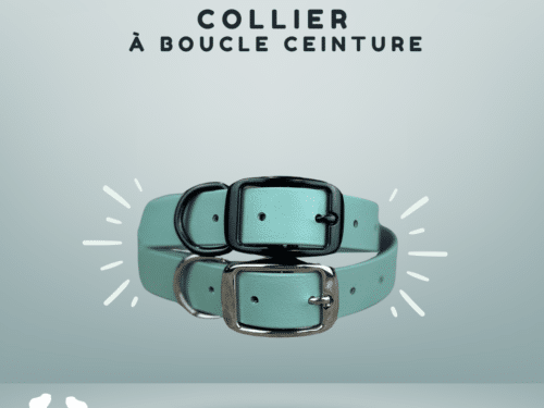 Collier pour chien en Biothane à boucle-ceinture