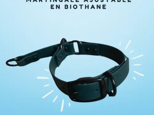 Collier martingale ajustable en biothane vert foncé avec quincaillerie noire, présenté sur un fond bleu avec l’inscription "Nouveau".