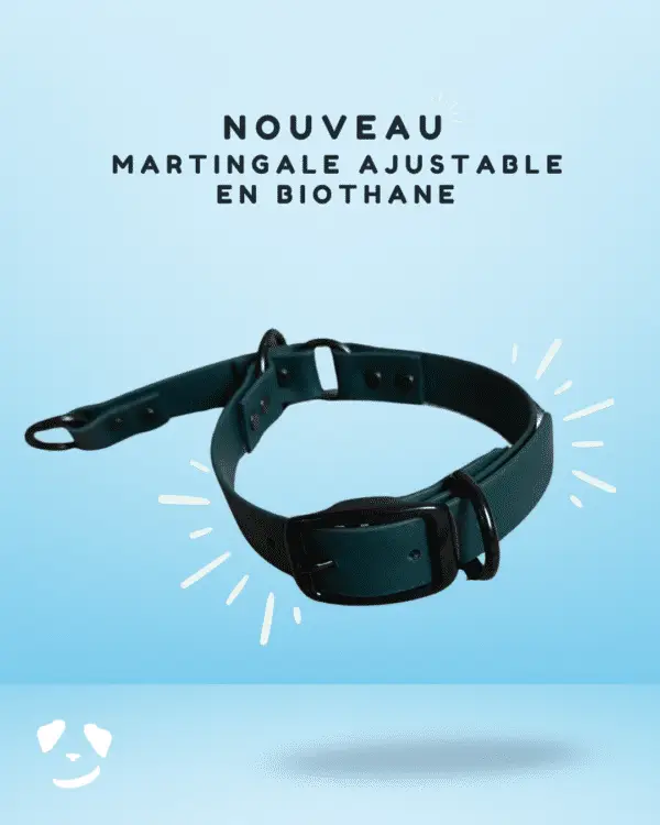 Collier martingale ajustable en biothane vert foncé avec quincaillerie noire, présenté sur un fond bleu avec l’inscription "Nouveau".