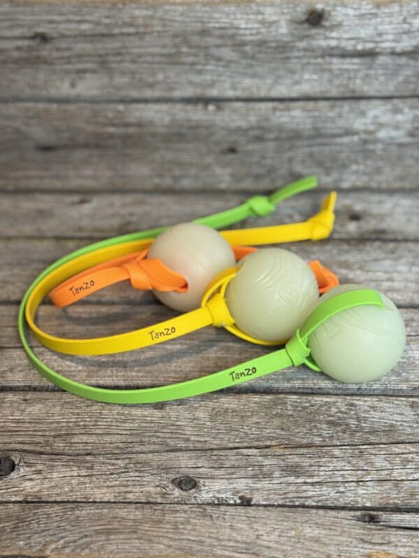 Trois balles tug phosphorescentes pour chiens avec poignées en Biothane orange, jaune et verte de différentes longueurs, posées sur un fond de bois.