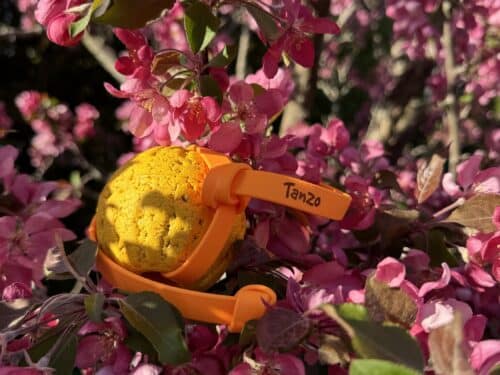 Balle Tug Tanzo – Flottante, interactive, sécuritaire