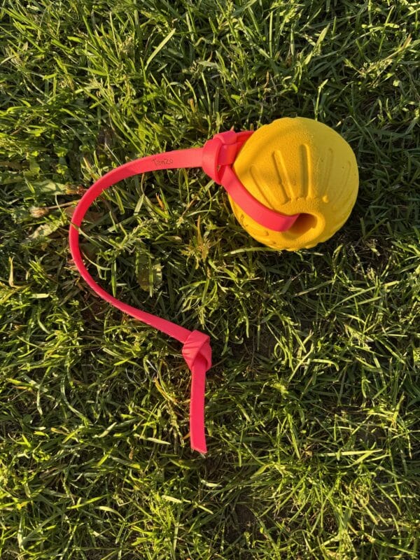 Balle Tug Flottante pour Chien – Sécuritaire et Interactive | Tanzo