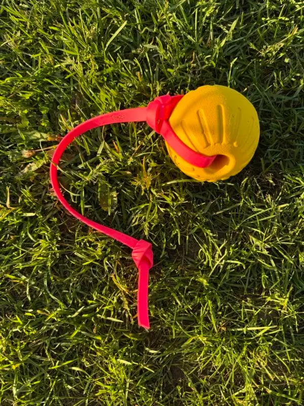 Balle Tug Flottante pour Chien – Sécuritaire et Interactive | Tanzo