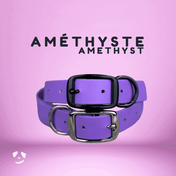 Collier pour chien en biothane robuste améthyste