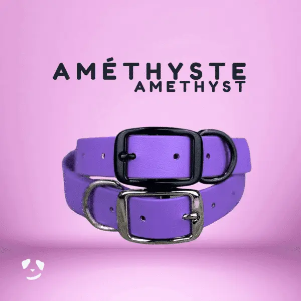 Collier pour chien en biothane robuste améthyste