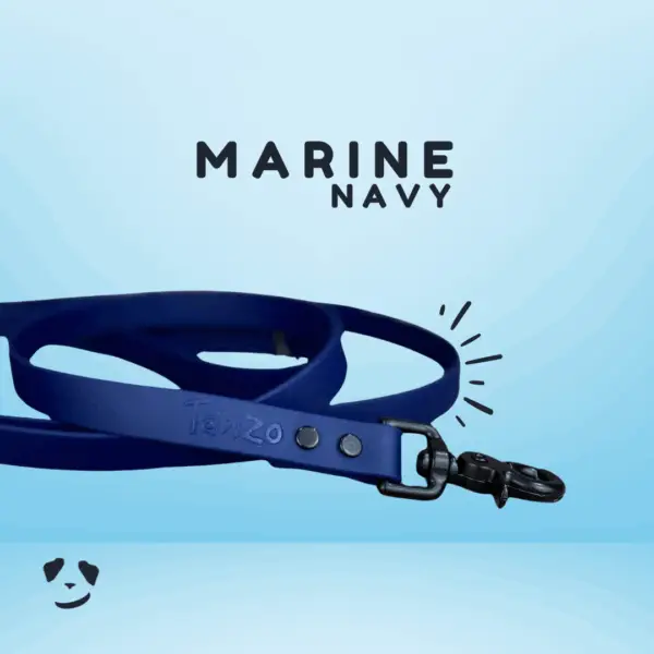 Navy biothane dog leash | Laisse en biothane marine. Meilleure laisse pour chien en biothane au canada