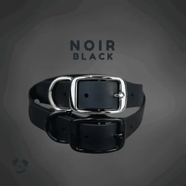Collier pour chien en biothane robuste noir