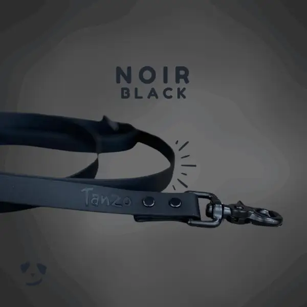 Black biothane dog leash | Laisse en biothane noire. Meilleure laisse pour chien en biothane au canada